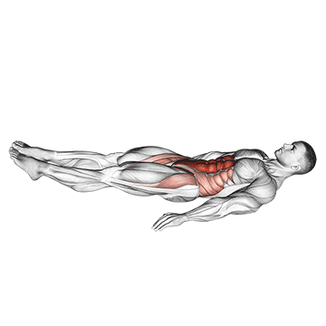 Demostración del ejercicio: Hollow Hold: El Secreto del Core de los Gimnastas