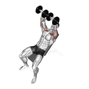 Demostración del ejercicio: Press Inclinado con Mancuernas: Máximo Desarrollo del Pectoral Superior