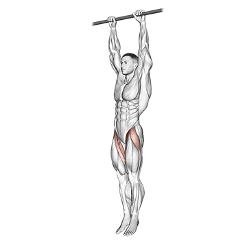 Demostración del ejercicio: Elevación de Piernas Colgado: Core y Abdominales de Hierro