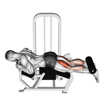 Demostración del ejercicio: Curl Femoral Tumbado: Aislamiento Total de Isquiotibiales