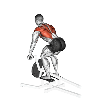 Demostración del ejercicio: T-Bar Row: Masa y Grosor para una Espalda Completa