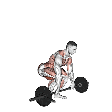 Demostración del ejercicio: Power Clean: El Rey del Desarrollo de la Potencia Total