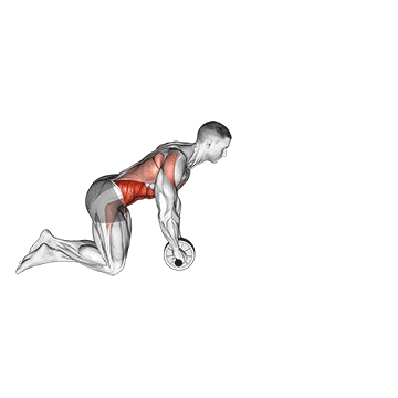 Demostración del ejercicio: Rueda Abdominal: El Core más Fuerte con Un Solo Ejercicio